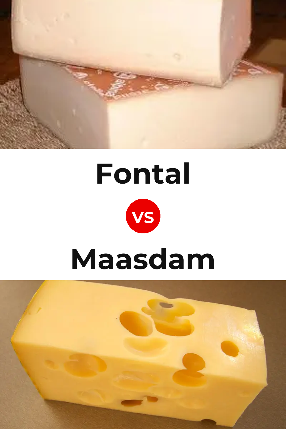 Fontal Cheese vs Maasdam Cheese Pinterest comparison