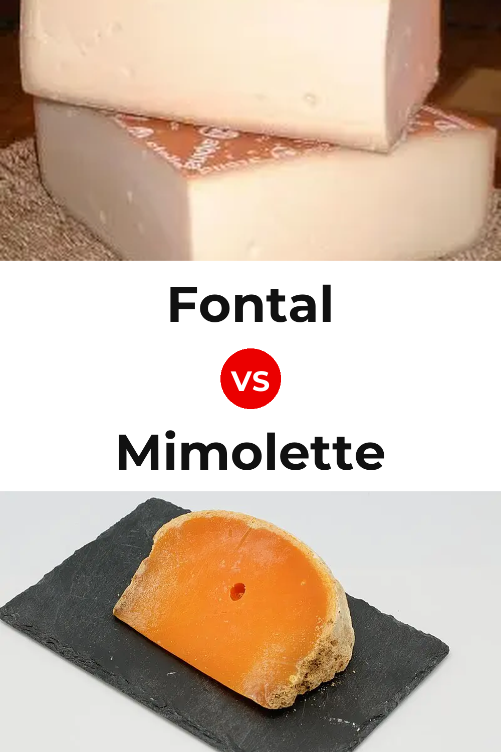 Fontal Cheese vs Mimolette Cheese Pinterest comparison