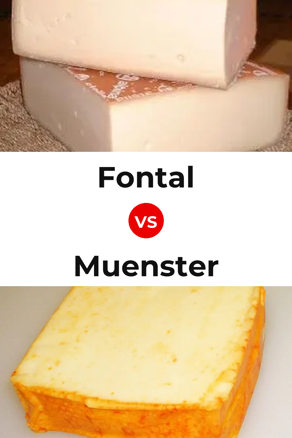 Fontal Cheese vs Muenster Cheese Pinterest comparison