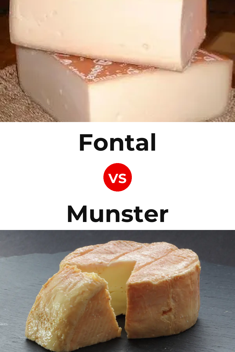 Fontal Cheese vs Munster Cheese Pinterest comparison
