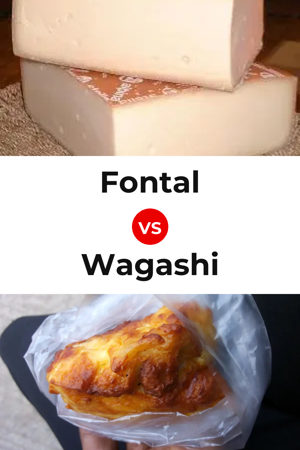 Fontal Cheese vs Wagashi Cheese Pinterest comparison