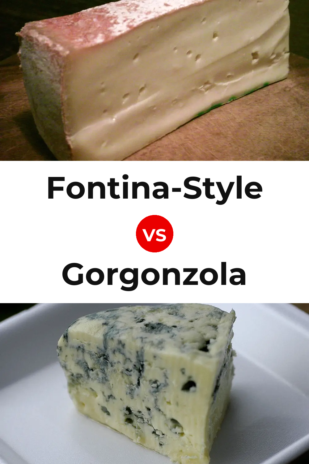 Fontina-Style Cheese vs Gorgonzola Cheese Pinterest comparison