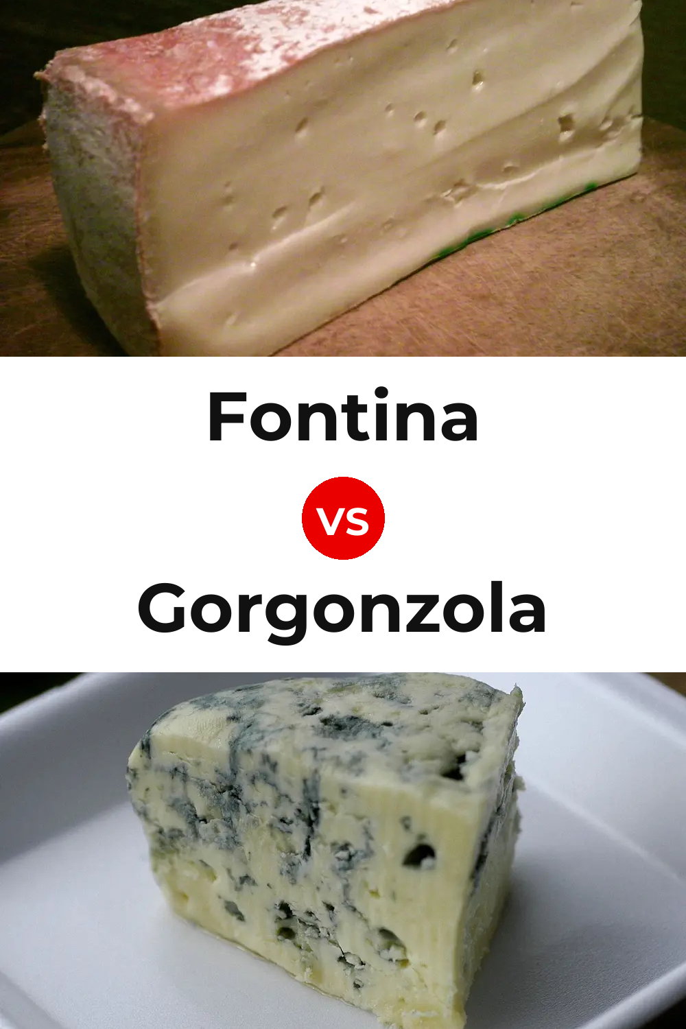 Fontina Cheese vs Gorgonzola Cheese Pinterest comparison