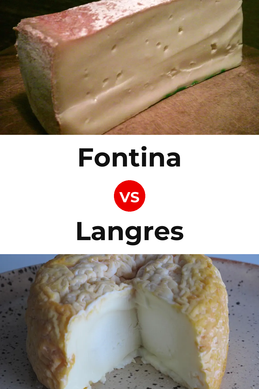 Fontina Cheese vs Langres Cheese Pinterest comparison