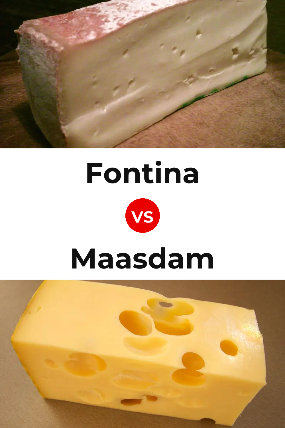 Fontina Cheese vs Maasdam Cheese Pinterest comparison