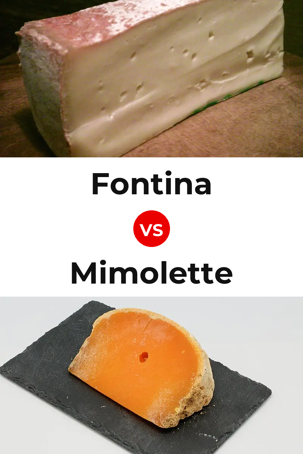 Fontina Cheese vs Mimolette Cheese Pinterest comparison