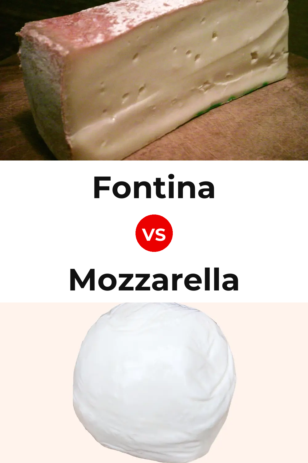 Fontina Cheese vs Mozzarella Cheese Pinterest comparison