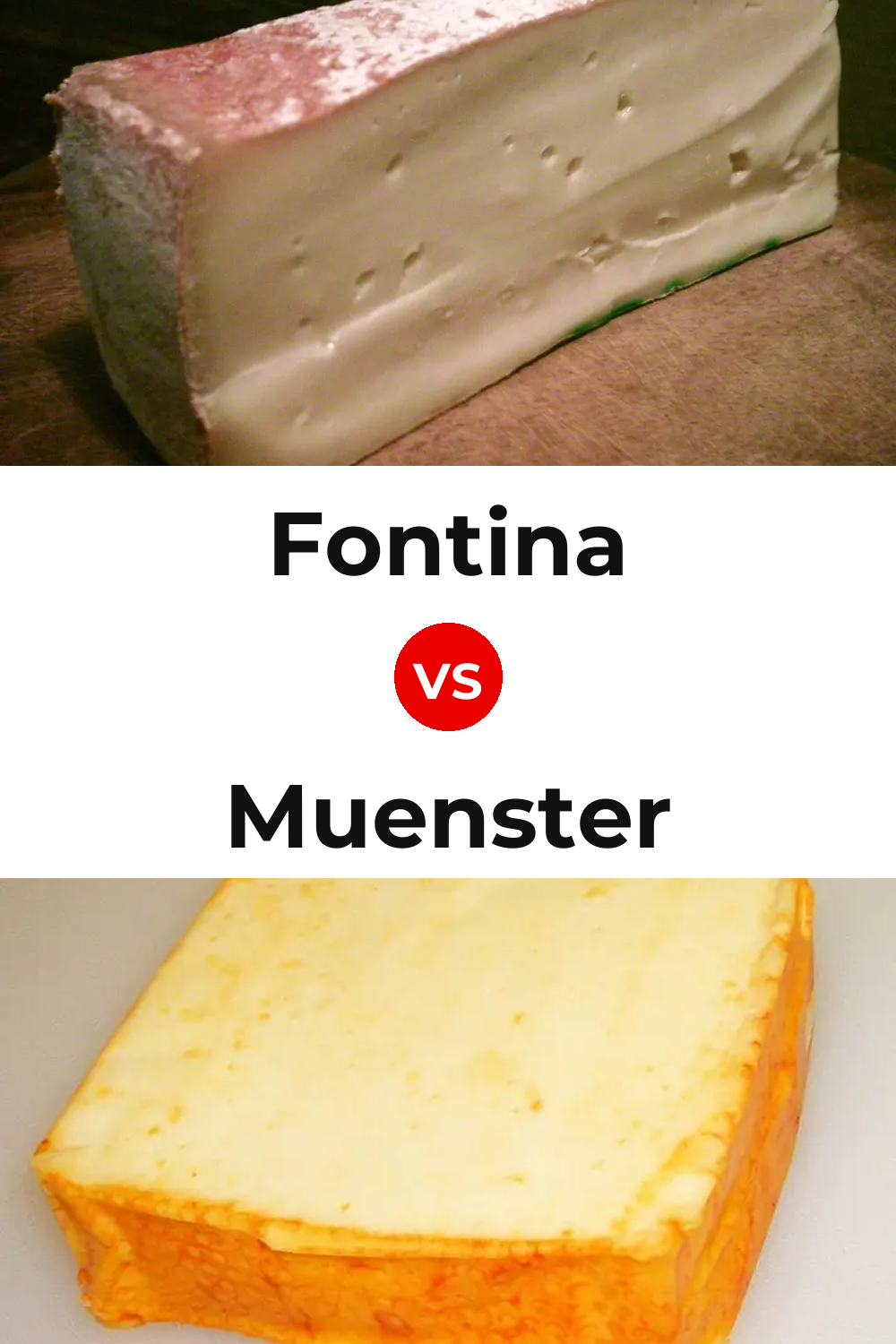 Fontina Cheese vs Muenster Cheese Pinterest comparison