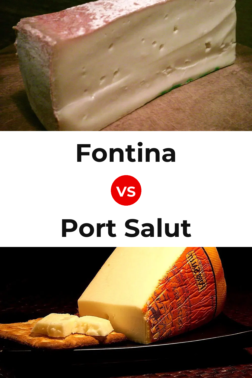 Fontina Cheese vs Port Salut Cheese Pinterest comparison