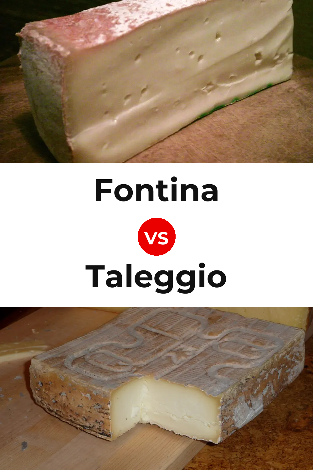 Fontina Cheese vs Taleggio Cheese Pinterest comparison