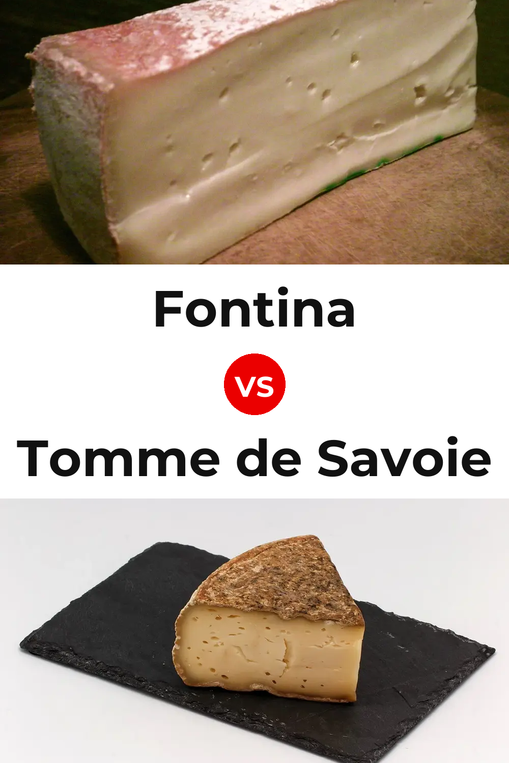 Fontina Cheese vs Tomme de Savoie Cheese Pinterest comparison