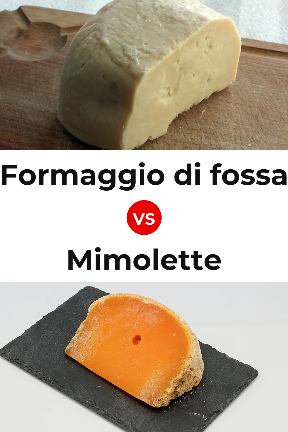 Formaggio di fossa Cheese vs Mimolette Cheese Pinterest comparison