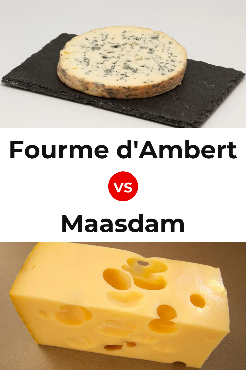 Fourme d'Ambert Cheese vs Maasdam Cheese Pinterest comparison