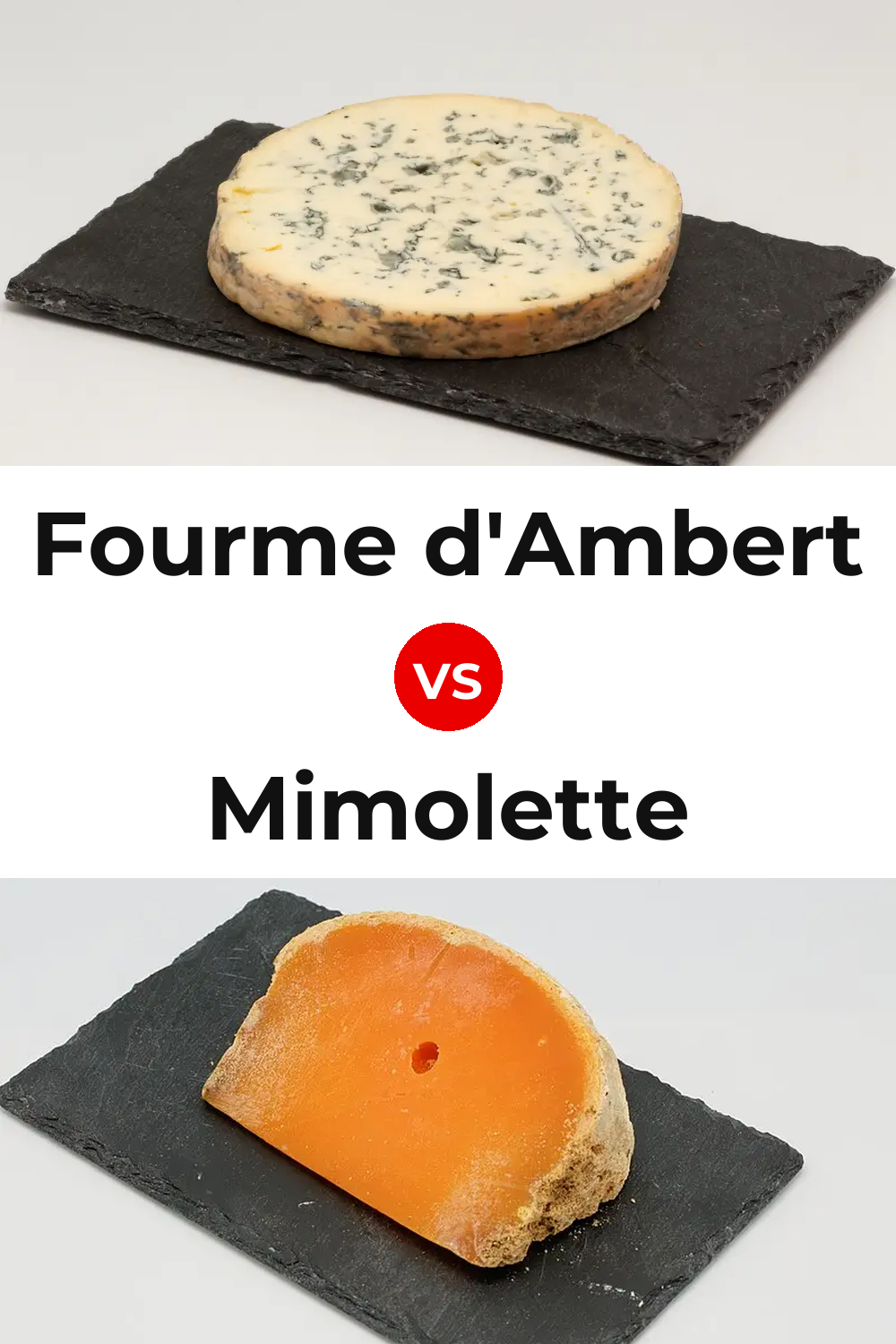 Fourme d'Ambert Cheese vs Mimolette Cheese Pinterest comparison