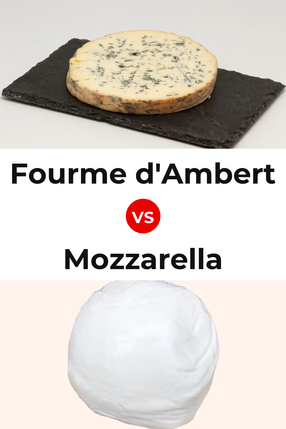 Fourme d'Ambert Cheese vs Mozzarella Cheese Pinterest comparison