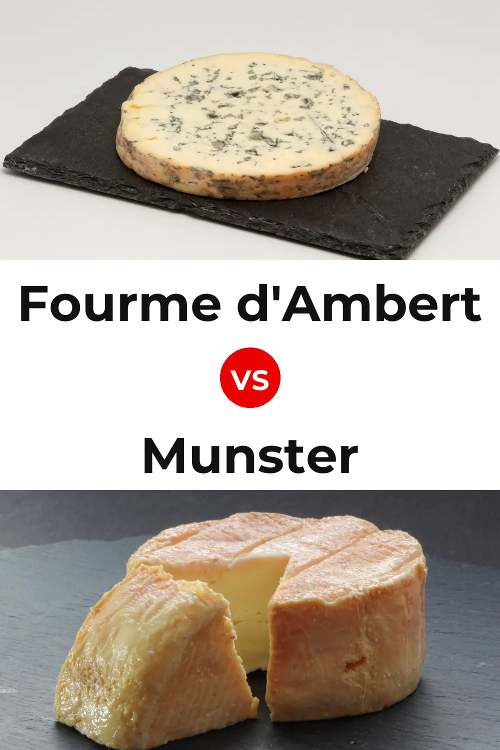 Fourme d'Ambert Cheese vs Munster Cheese Pinterest comparison