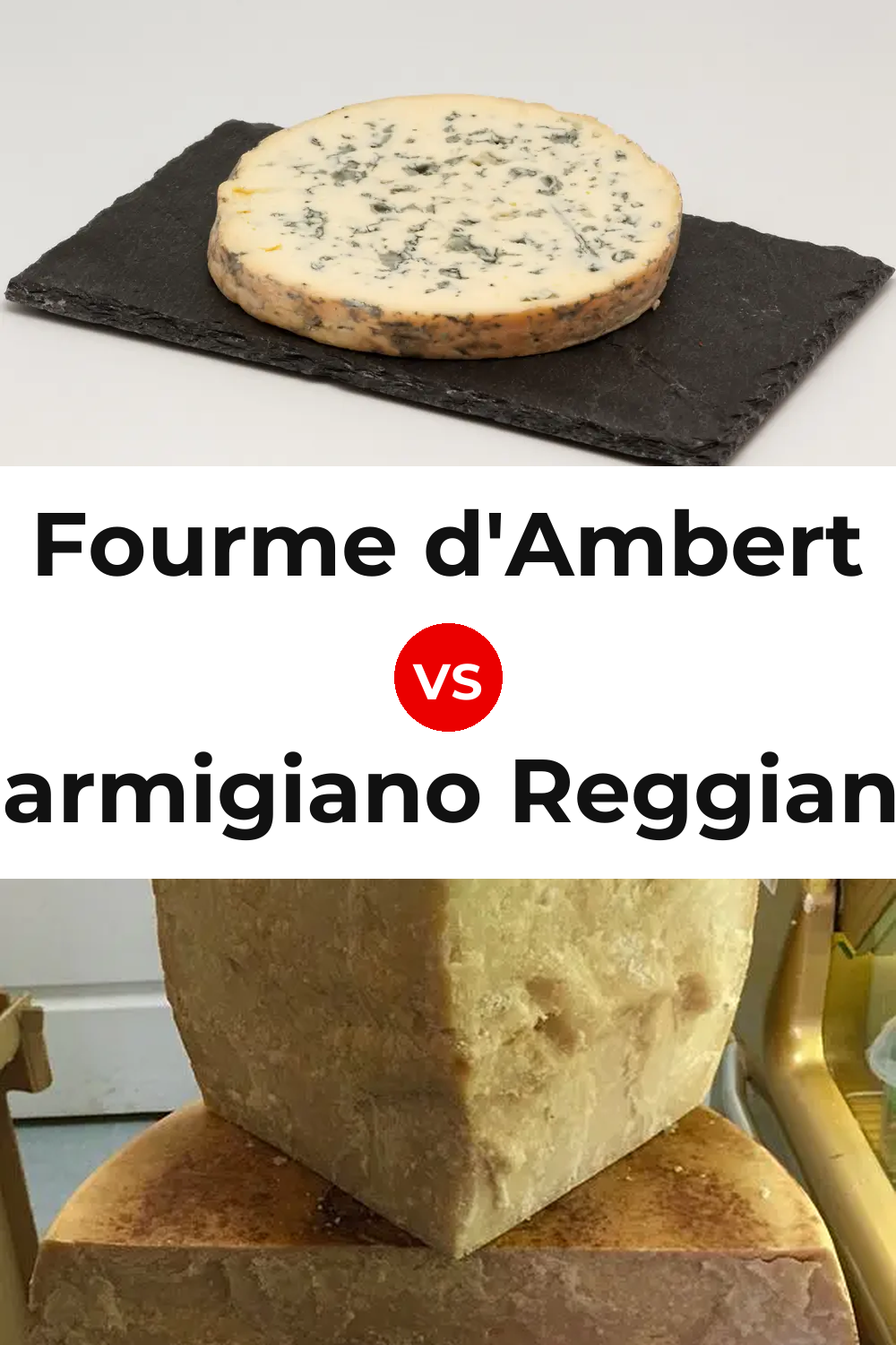 Fourme d'Ambert Cheese vs Parmigiano Reggiano Cheese Pinterest comparison