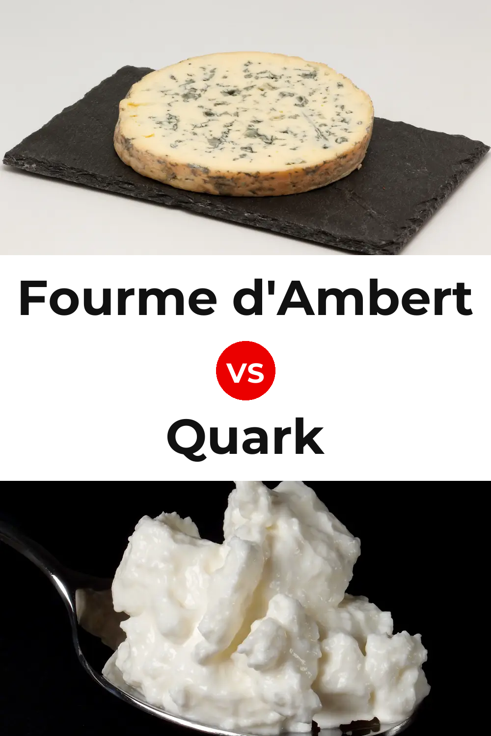 Fourme d'Ambert Cheese vs Quark Cheese Pinterest comparison