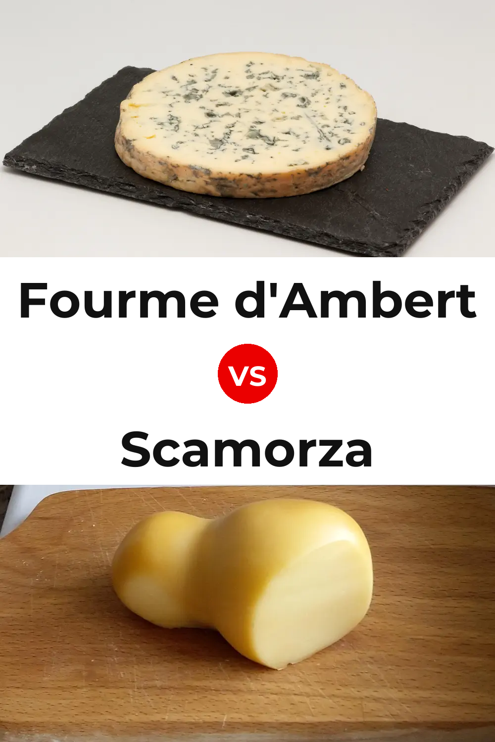 Fourme d'Ambert Cheese vs Scamorza Cheese Pinterest comparison
