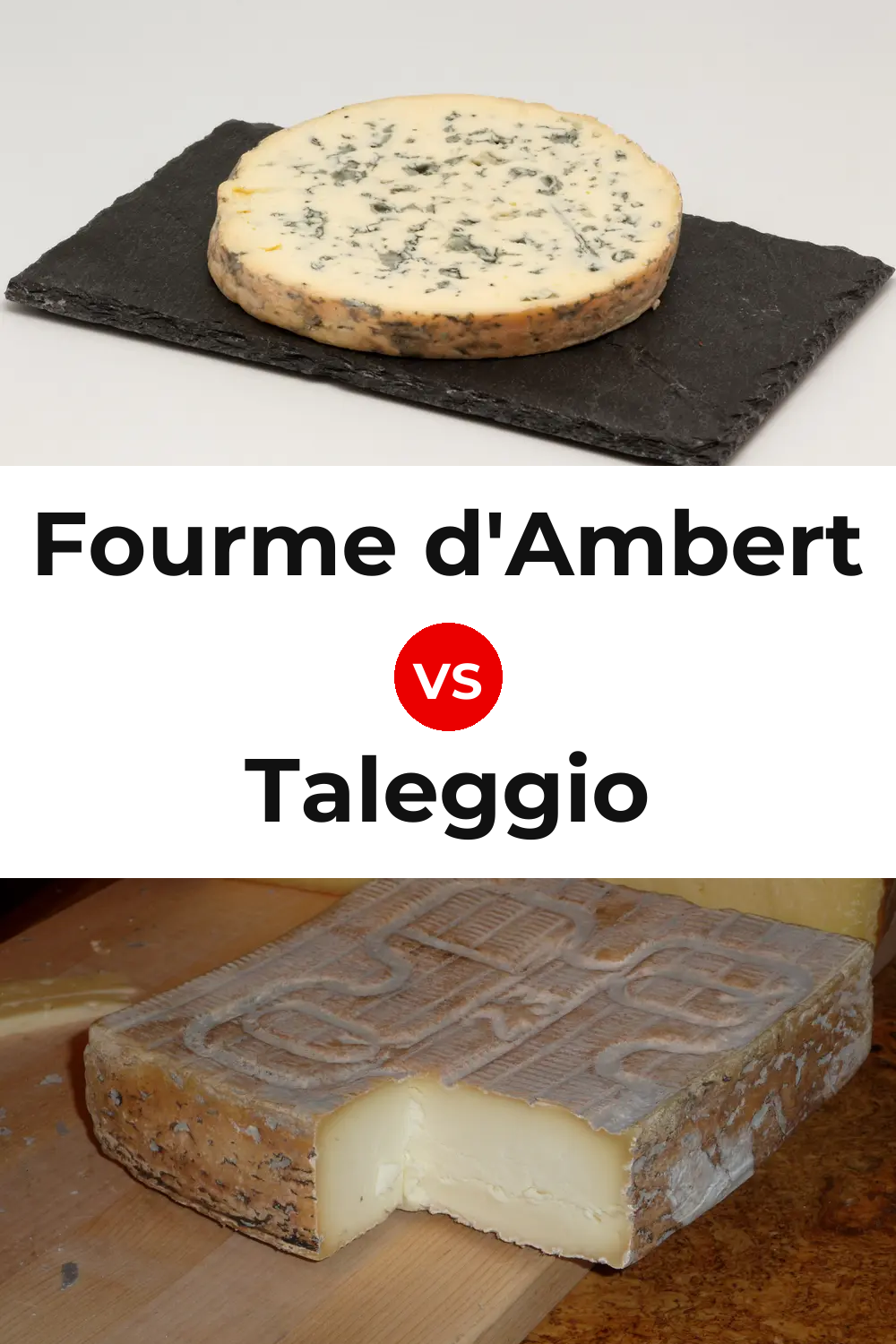 Fourme d'Ambert Cheese vs Taleggio Cheese Pinterest comparison