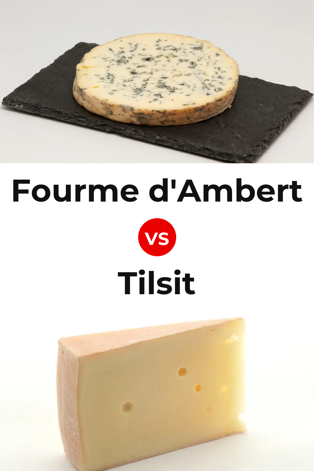 Fourme d'Ambert Cheese vs Tilsit Cheese Pinterest comparison