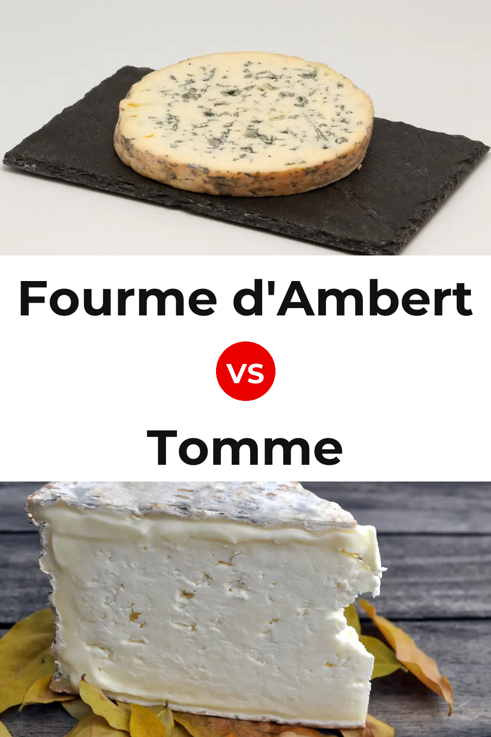 Fourme d'Ambert Cheese vs Tomme Cheese Pinterest comparison