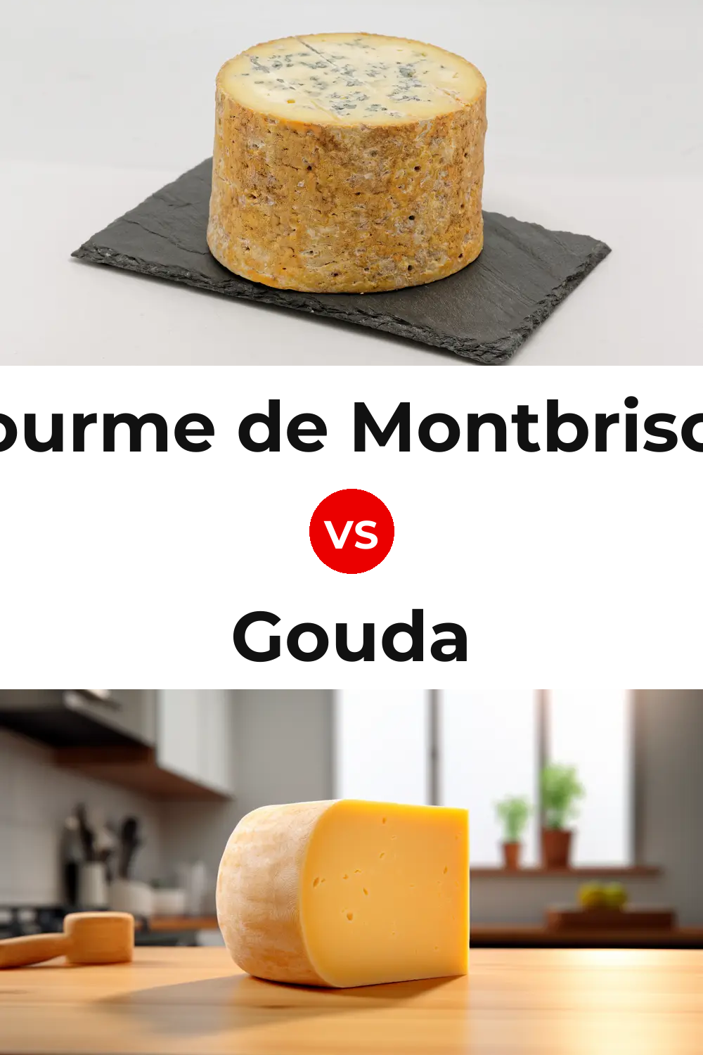 Fourme de Montbrison Cheese vs Gouda Cheese Pinterest comparison