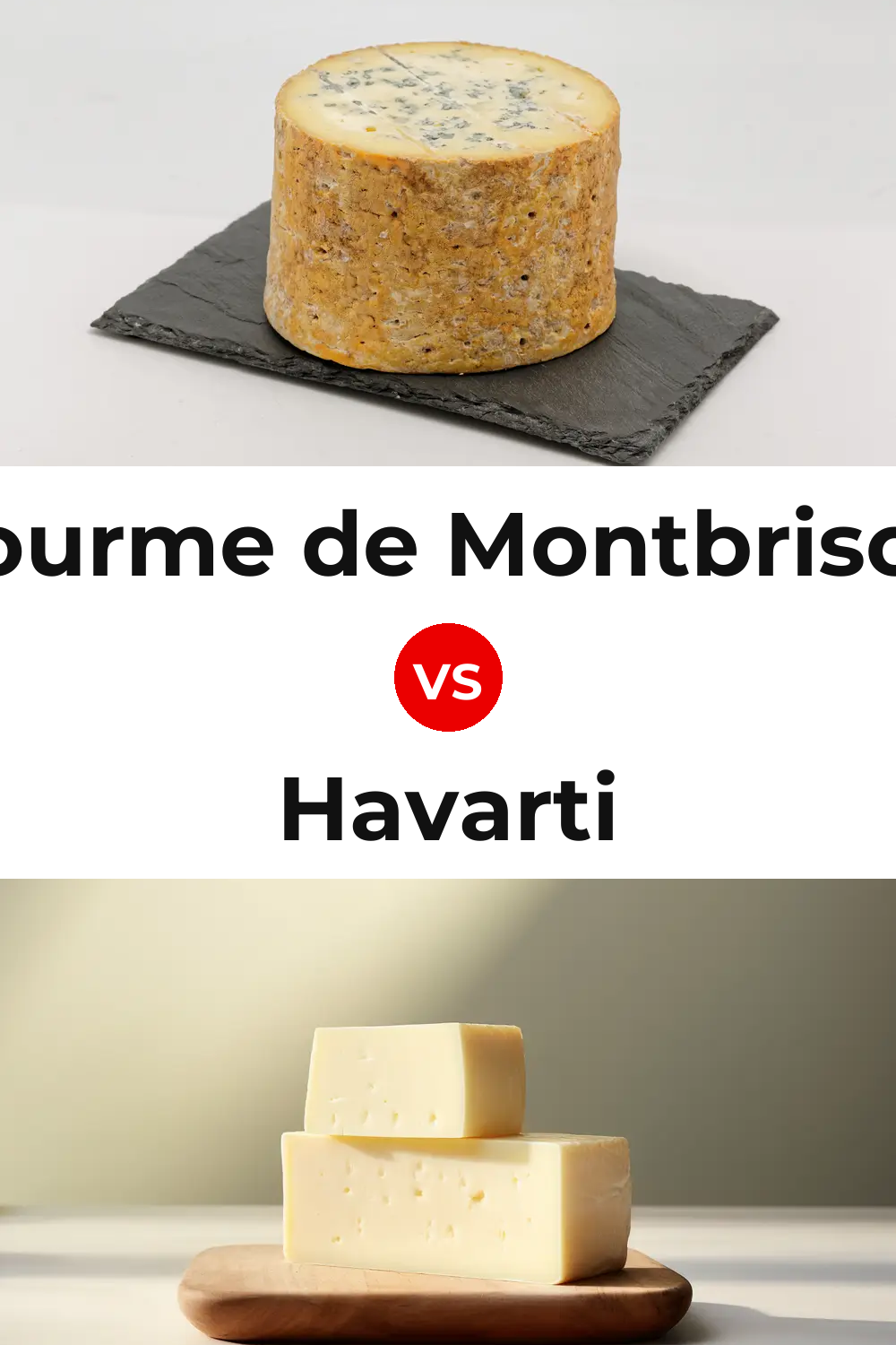 Fourme de Montbrison Cheese vs Havarti Cheese Pinterest comparison