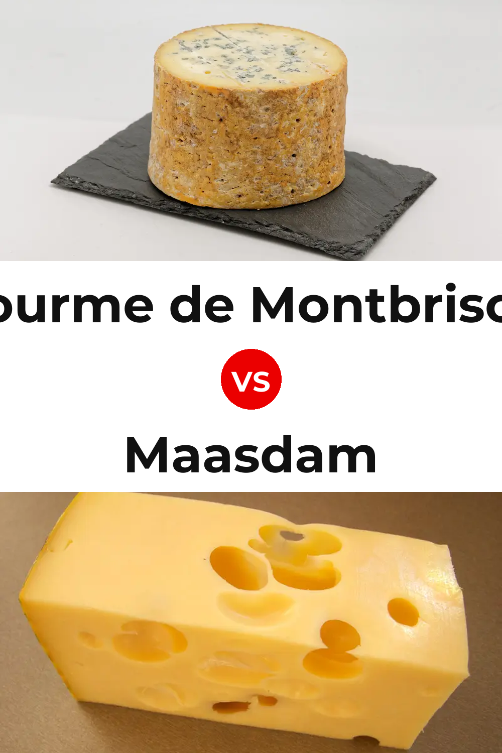 Fourme de Montbrison Cheese vs Maasdam Cheese Pinterest comparison