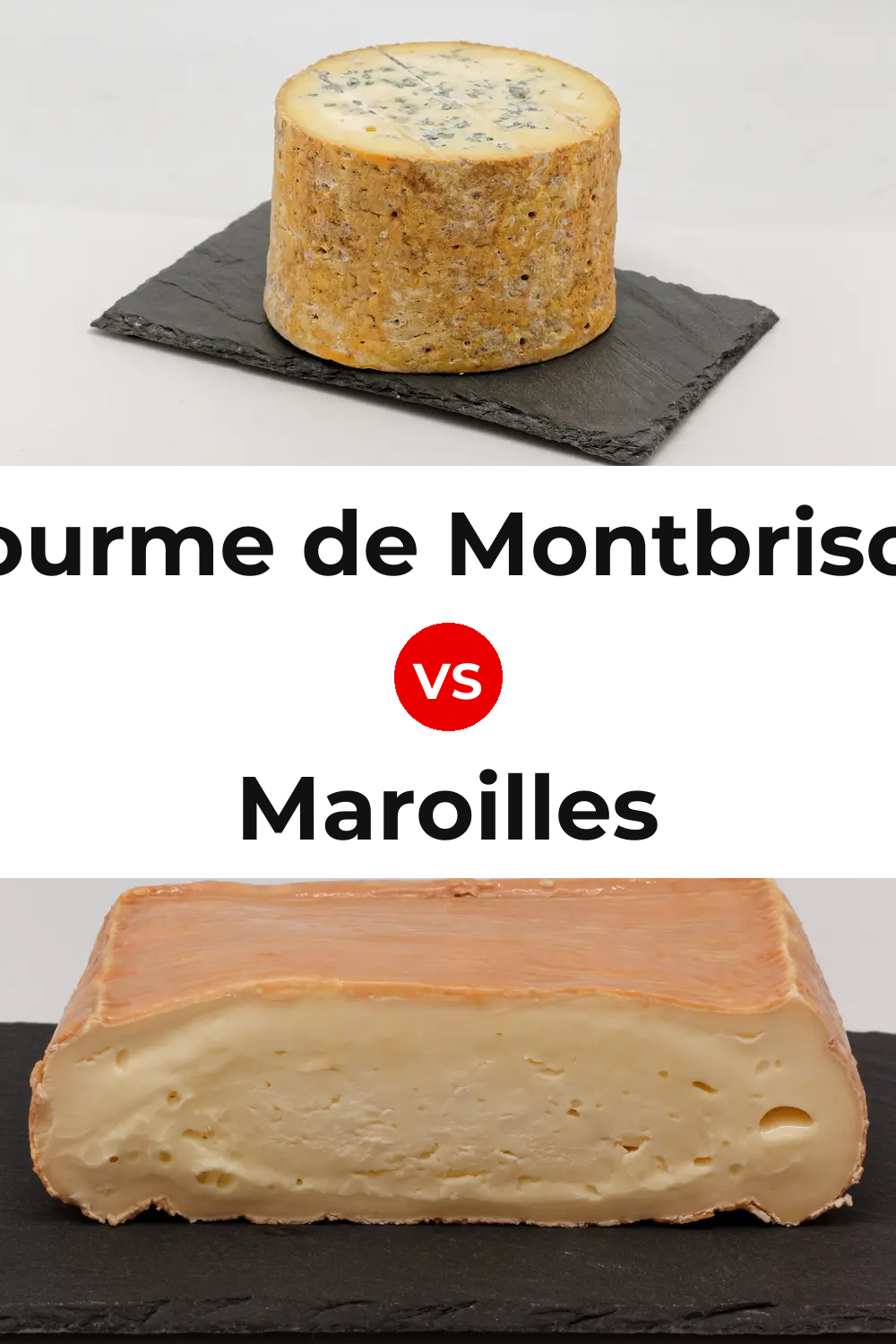 Fourme de Montbrison Cheese vs Maroilles Cheese Pinterest comparison
