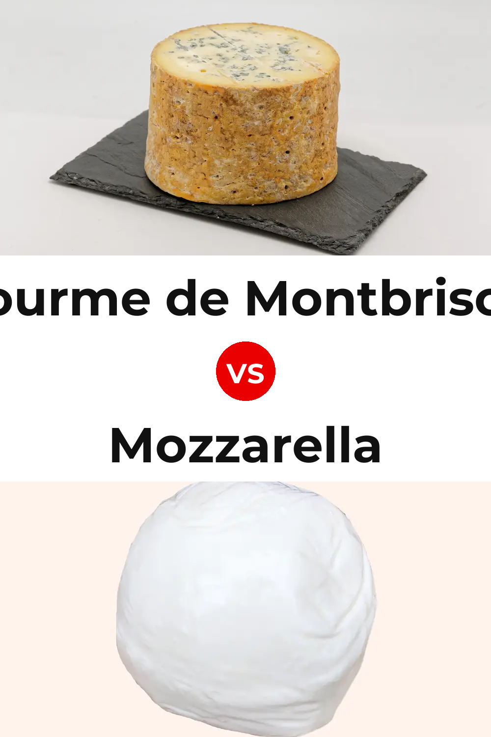 Fourme de Montbrison Cheese vs Mozzarella Cheese Pinterest comparison