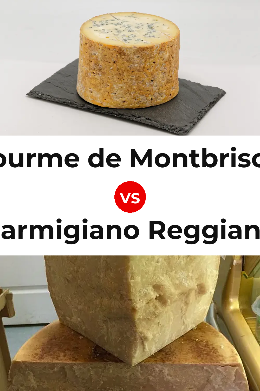 Fourme de Montbrison Cheese vs Parmigiano Reggiano Cheese Pinterest comparison