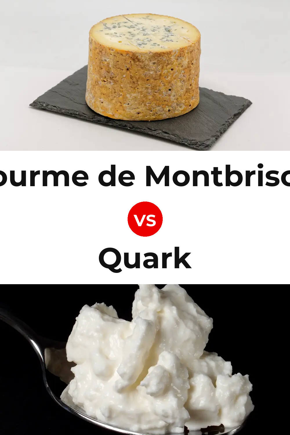 Fourme de Montbrison Cheese vs Quark Cheese Pinterest comparison