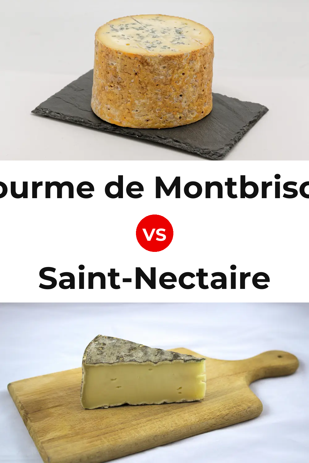 Fourme de Montbrison Cheese vs Saint-Nectaire Cheese Pinterest comparison