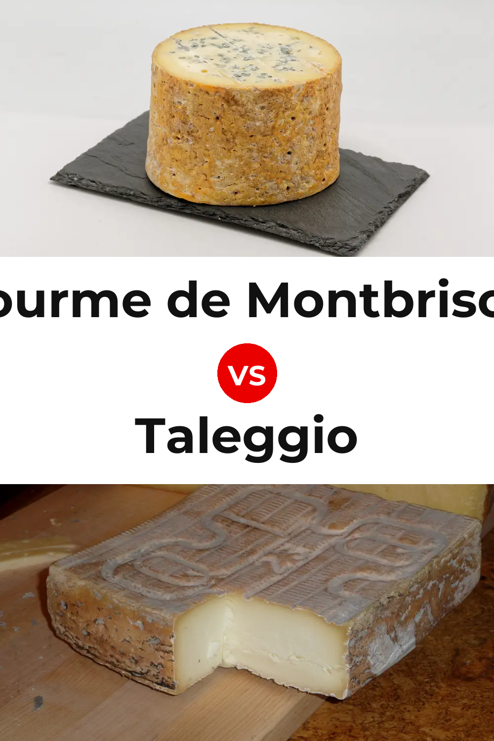 Fourme de Montbrison Cheese vs Taleggio Cheese Pinterest comparison