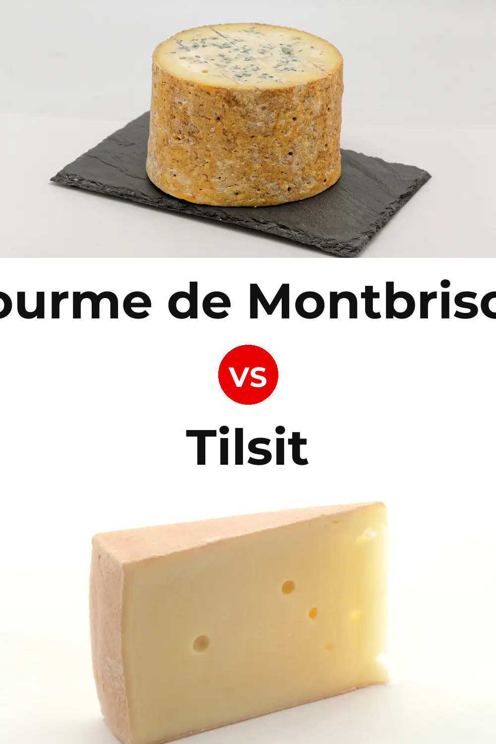 Fourme de Montbrison Cheese vs Tilsit Cheese Pinterest comparison