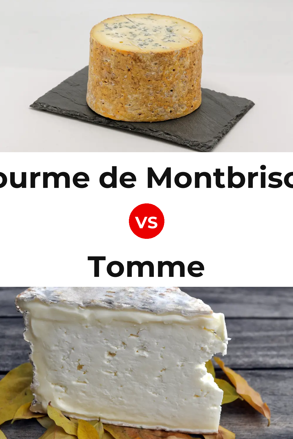 Fourme de Montbrison Cheese vs Tomme Cheese Pinterest comparison