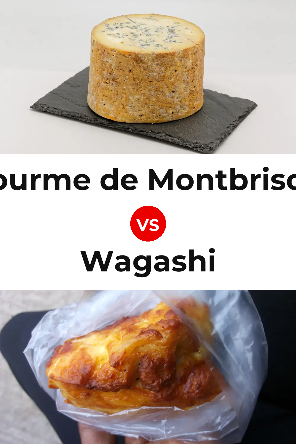 Fourme de Montbrison Cheese vs Wagashi Cheese Pinterest comparison