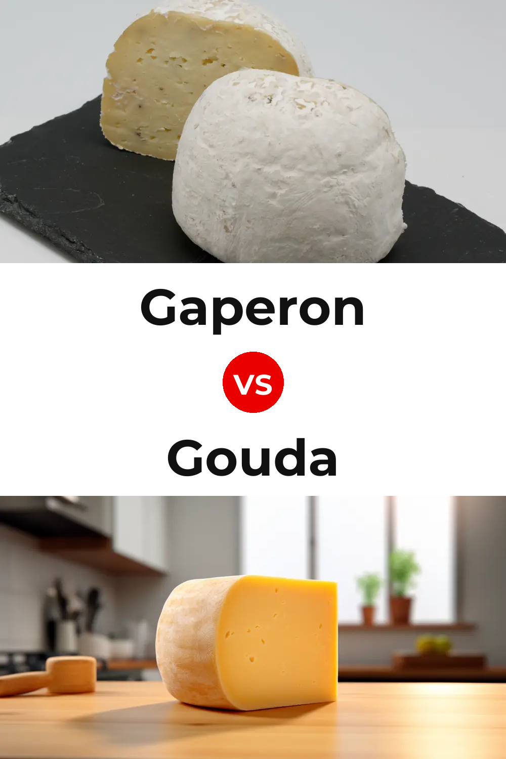 Gaperon Cheese vs Gouda Cheese Pinterest comparison