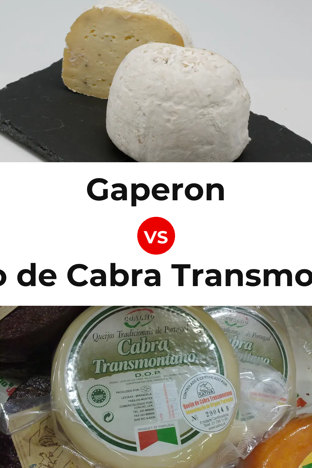Gaperon Cheese vs Queijo de Cabra Transmontano Pinterest comparison