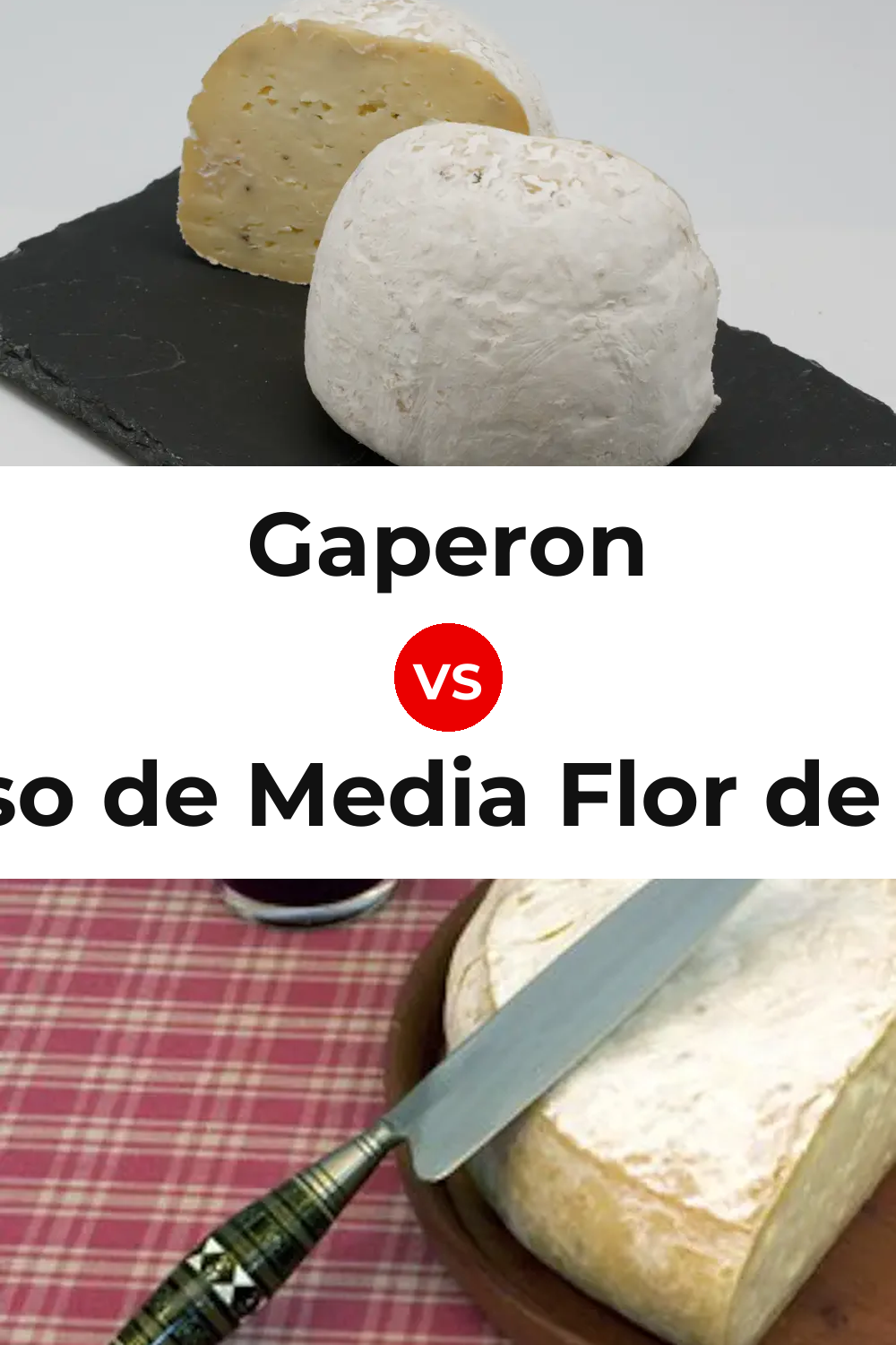 Gaperon Cheese vs Queso de Media Flor de Guía Pinterest comparison