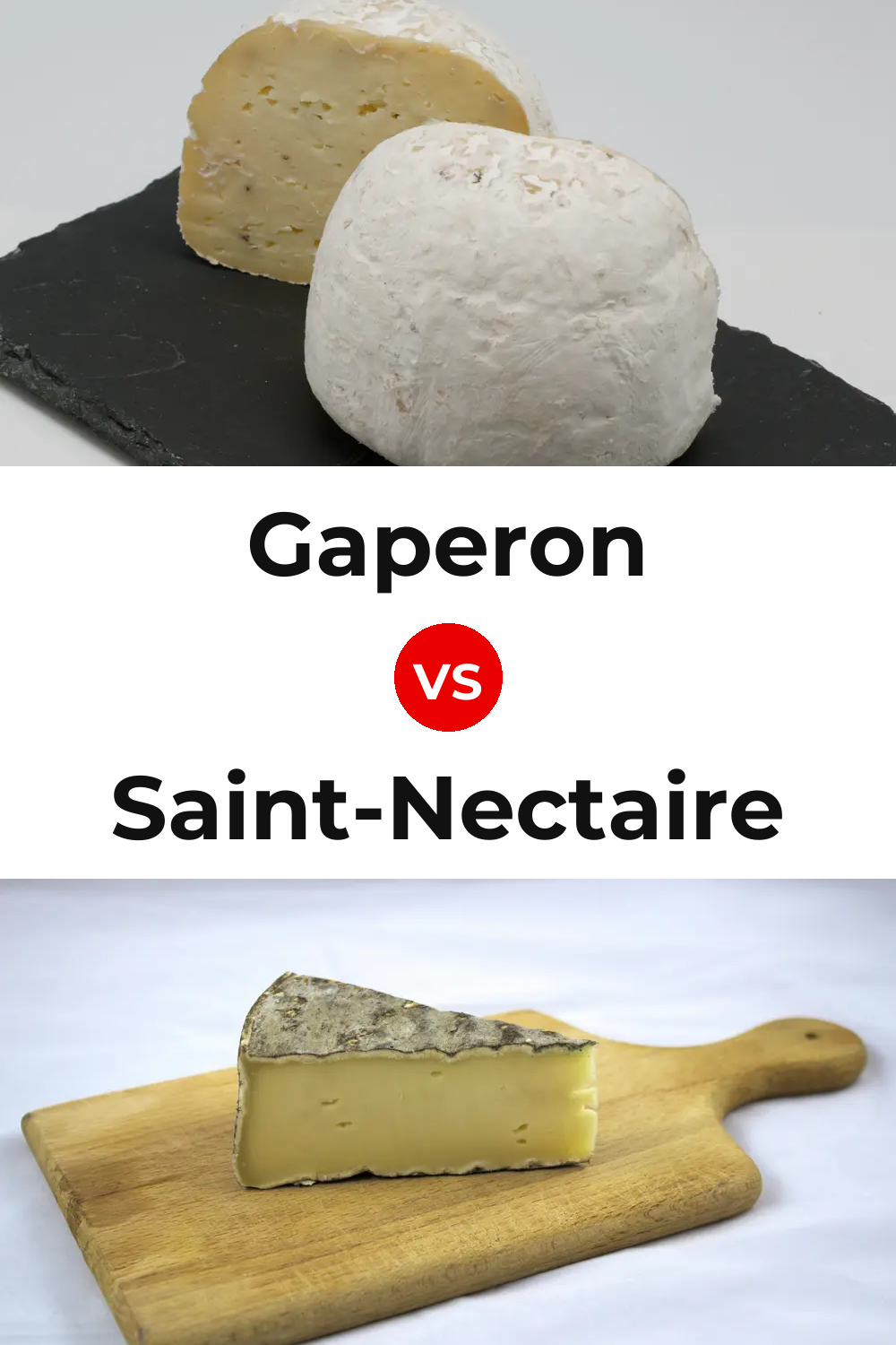 Gaperon Cheese vs Saint-Nectaire Cheese Pinterest comparison