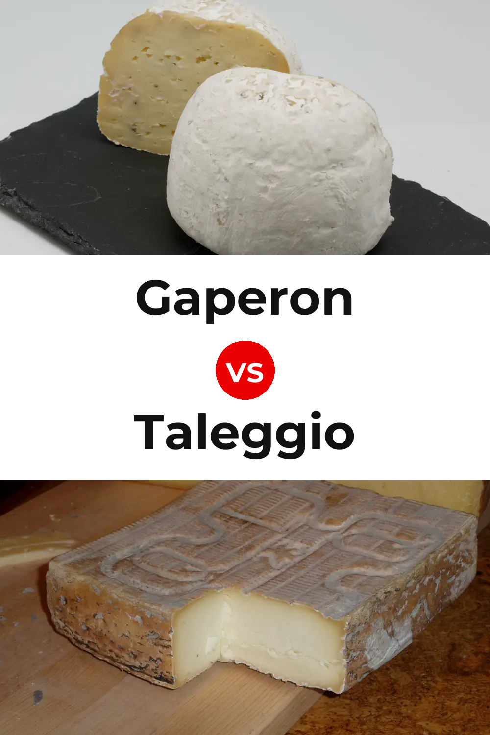 Gaperon Cheese vs Taleggio Cheese Pinterest comparison