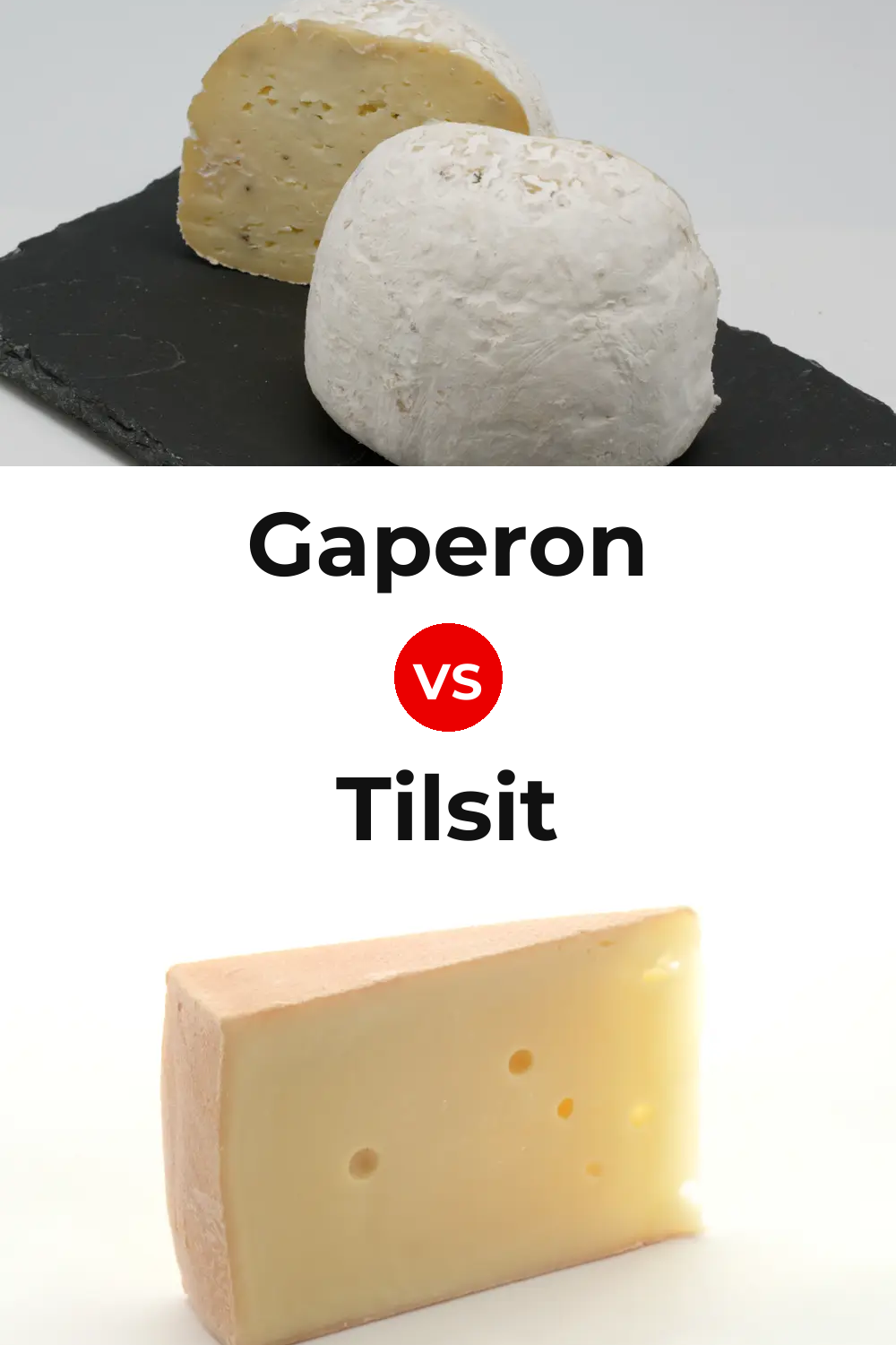 Gaperon Cheese vs Tilsit Cheese Pinterest comparison