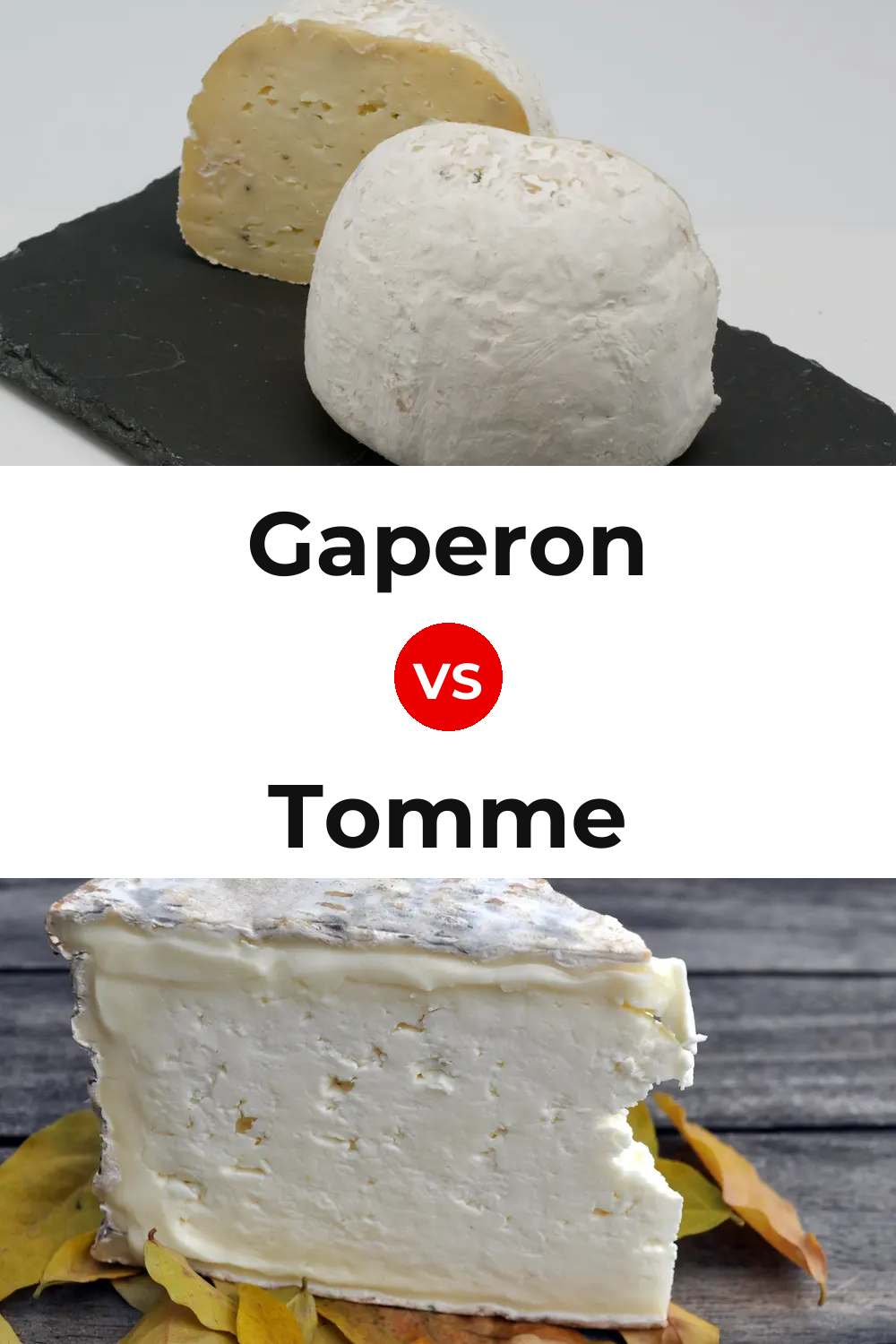 Gaperon Cheese vs Tomme Cheese Pinterest comparison