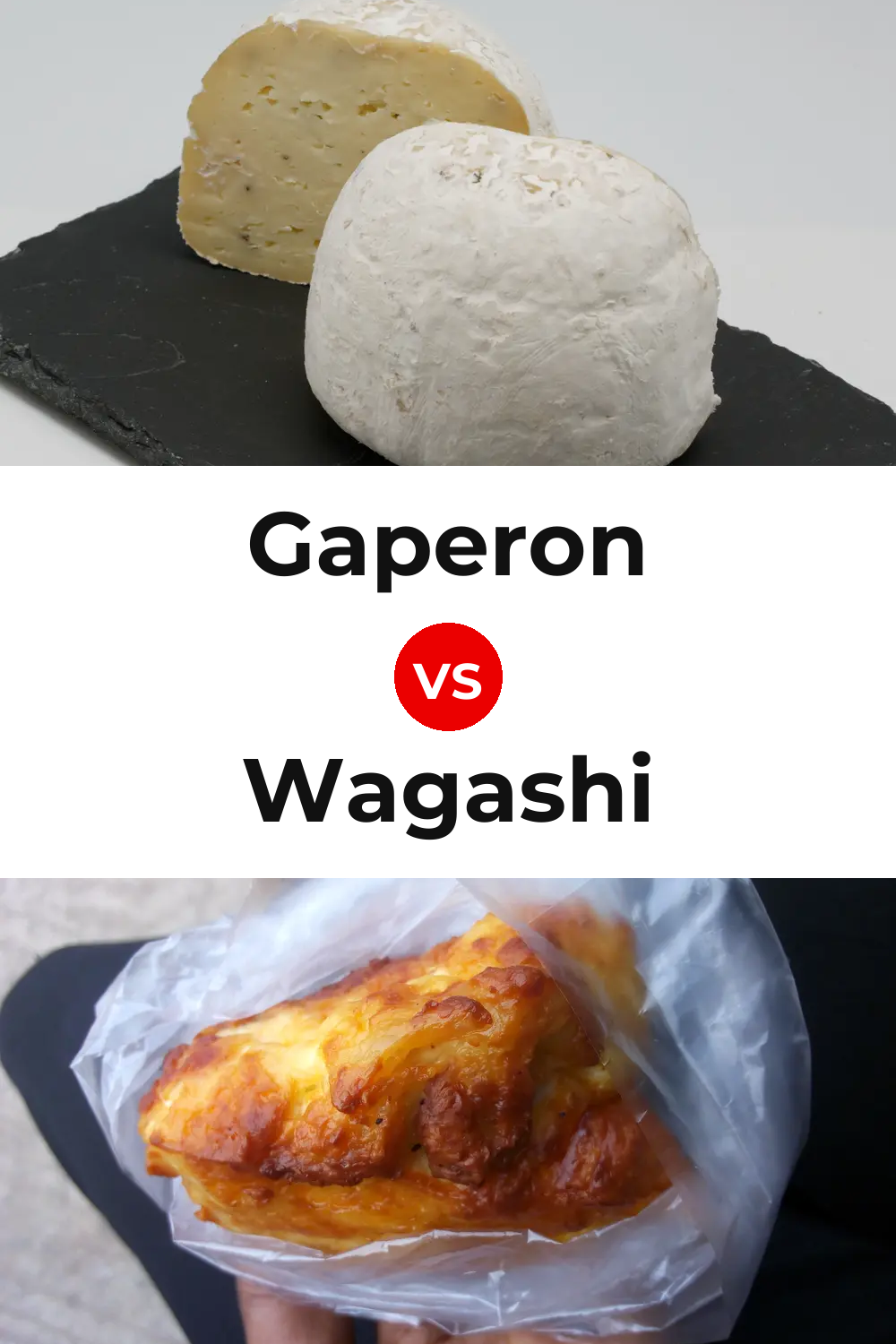 Gaperon Cheese vs Wagashi Cheese Pinterest comparison