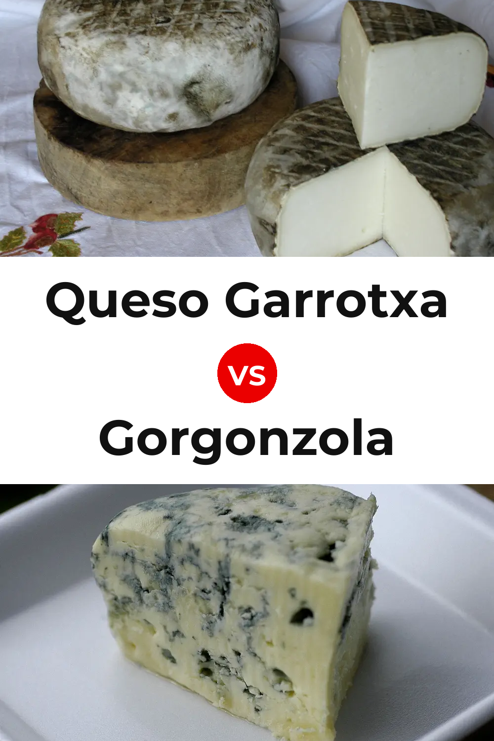 Queso Garrotxa vs Gorgonzola Cheese Pinterest comparison