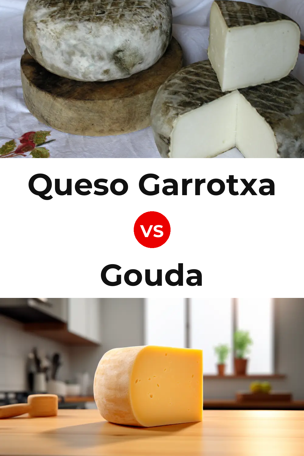 Queso Garrotxa vs Gouda Cheese Pinterest comparison