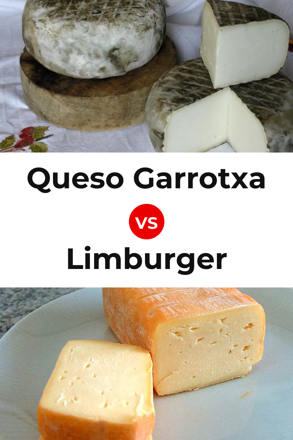 Queso Garrotxa vs Limburger Cheese Pinterest comparison