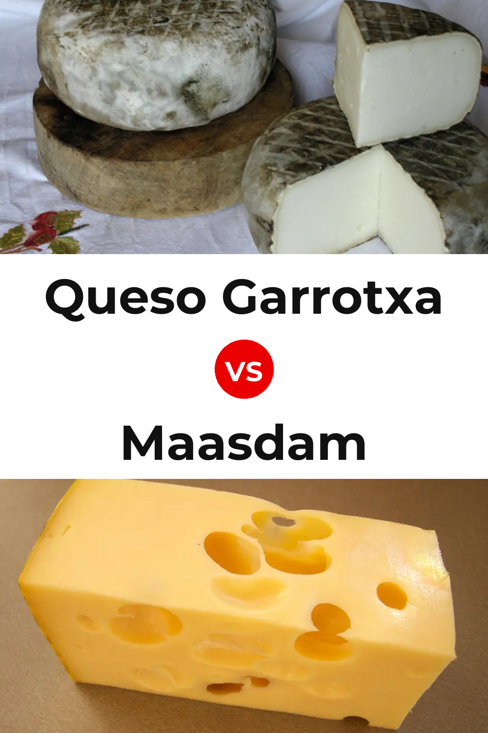 Queso Garrotxa vs Maasdam Cheese Pinterest comparison